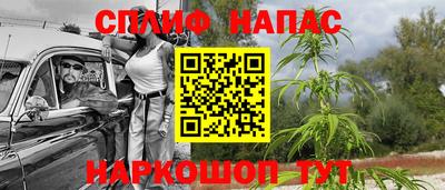 МДПВ Новозыбков