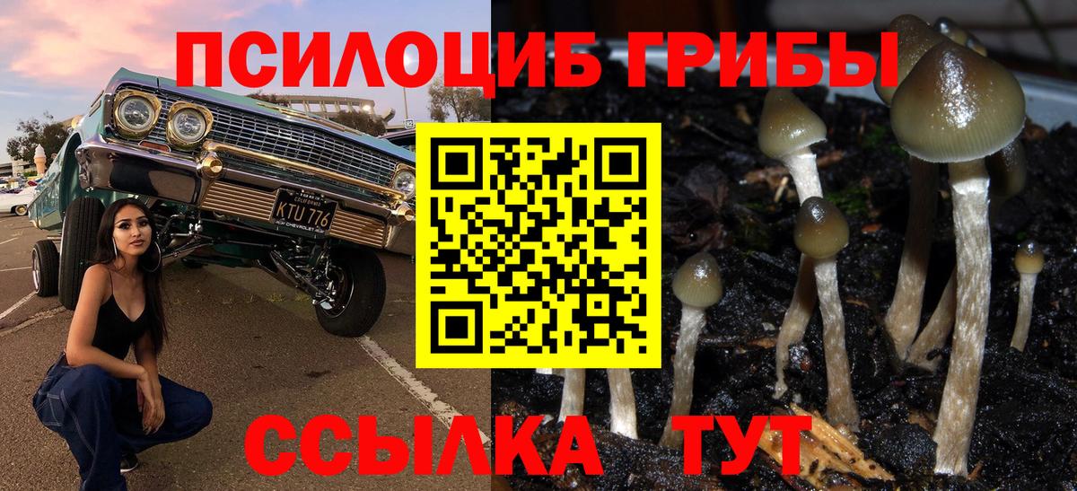 Галлюциногенные грибы прущие грибы Химки